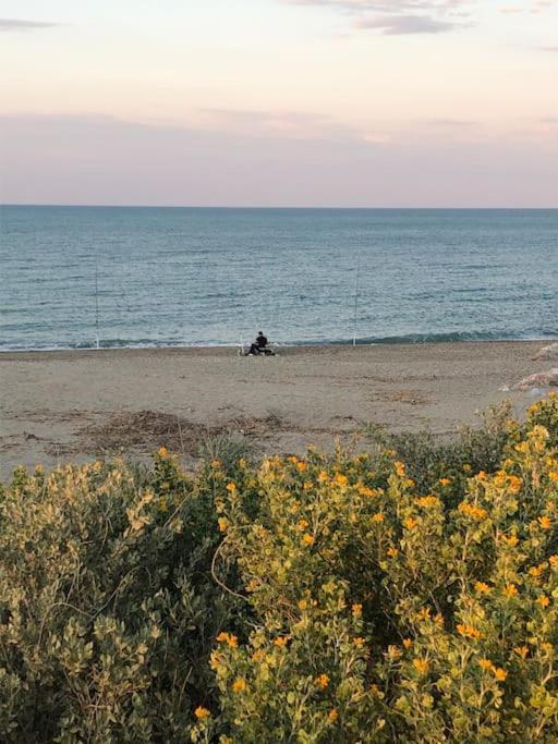 Logement Plage Сен-Сиприен Экстерьер фото