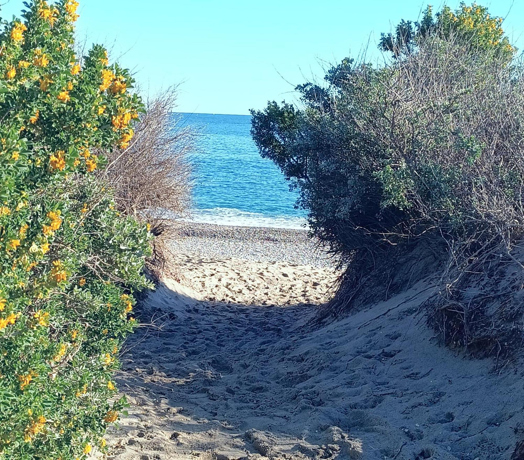 Logement Plage Сен-Сиприен Экстерьер фото